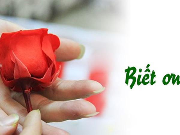 Nhớ Ơn Soeur