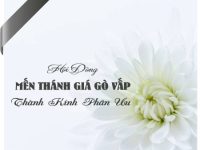 SET IMAGE CAO PHO ONG BA CO