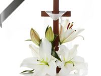 BANNER SET IMAGE - CAO PHO NU TU