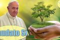 Học Tập Thông Điệp Laudato Si’ - Bài 10 - Áp Dụng Tinh Thần Laudato si’ Vào Đời Sống