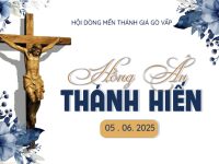Banner Hong An Thanh Hien 05062025