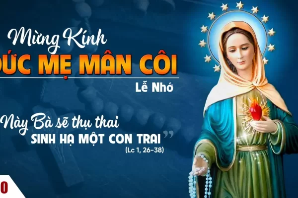 Duc Me Man Coi