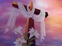 Banner nho Cao pho nu tu