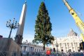 Dựng cây thông Giáng sinh tại Quảng trường Thánh Phêrô