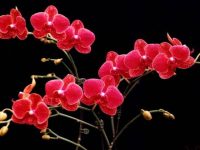 xr:d:DAFPwQxS72I:22,j:38825714507,t:22102316