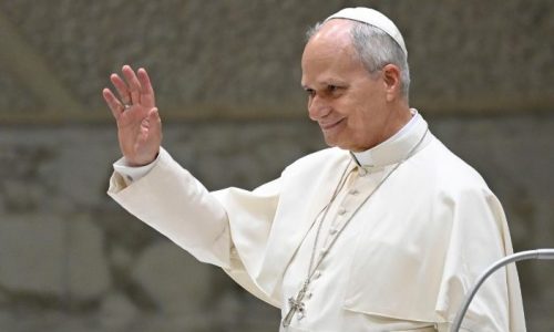 Đức Thánh Cha Lêô XIV (@Vatican Media)