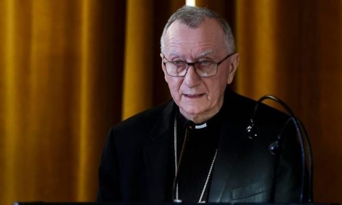 Đức Hồng Y Pietro Parolin (ANSA)
