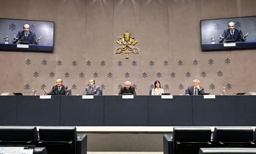 Họp báo giới thiệu tài liệu của Hàn lâm viện Tòa Thánh về Sự sống về việc cấy ghép nội tạng từ động vật sang người