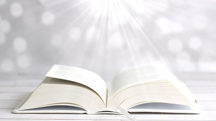 Trong dòng chảy lịch sử của Giáo hội Công giáo thế kỷ XX, có lẽ không có sự kiện nào mang tính bước ngoặt và thay đổi diện mạo đức tin sâu sắc hơn Công đồng Vaticanô II...