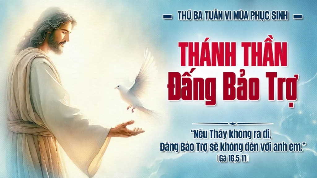 Khi Người đến, Người sẽ chứng minh rằng thế gian sai lầm về tội lỗi, về sự công chính và việc xét xử...