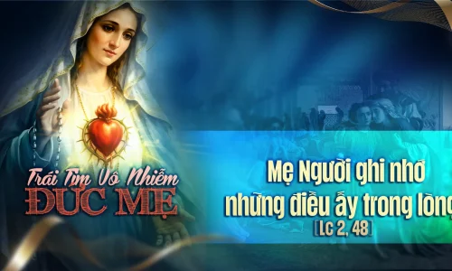 BG Trai tim vo nhiem Duc Me