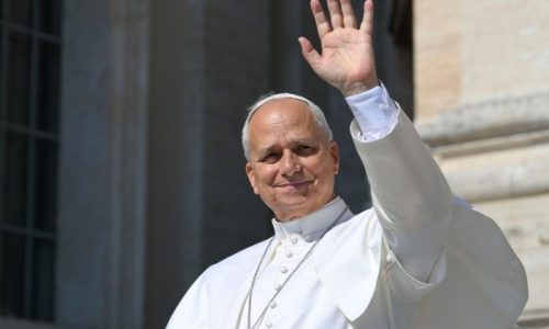 Đức Thánh Cha Lêô XIV trong Buổi Tiếp kiến Chung, ngày 17.06.2026. (@Vatican Media)