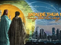 Mon de thua sai