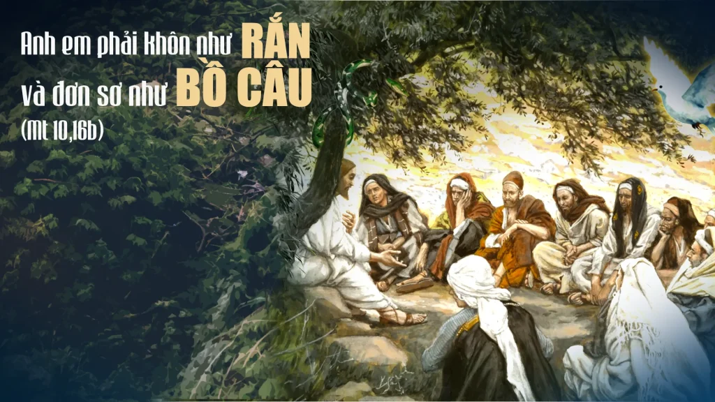 “Này, Thầy sai anh em đi như chiên đi vào giữa bầy sói. Vậy anh em phải khôn như rắn và đơn sơ như bồ câu.....