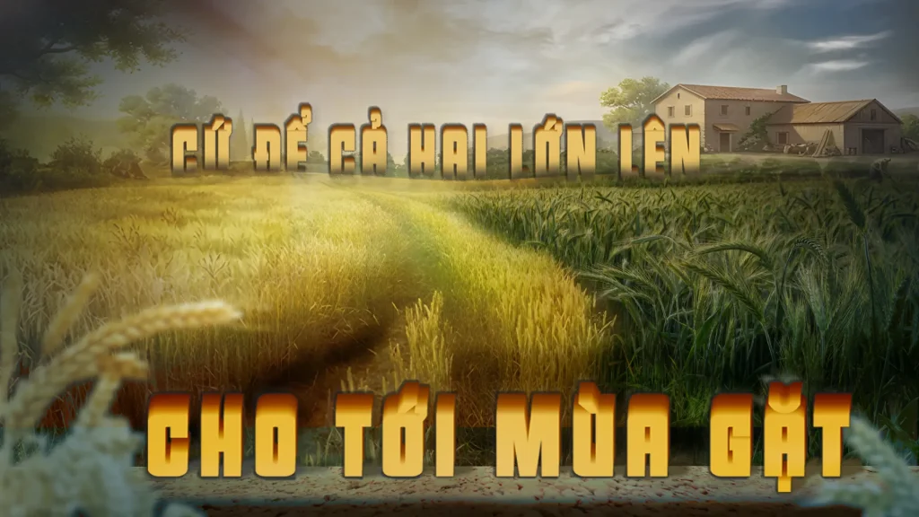 ‘Đừng, sợ rằng khi gom cỏ lùng, các anh làm bật luôn rễ lúa. Cứ để cả hai cùng lớn lên cho tới mùa gặt.....