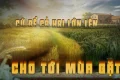 Mt 13, 29