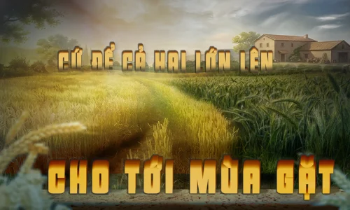 Mt 13, 29