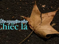 Uoc nguyen cua chiec La