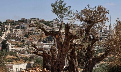 Làng Taybeh ở Palestine   (AFP or licensors)