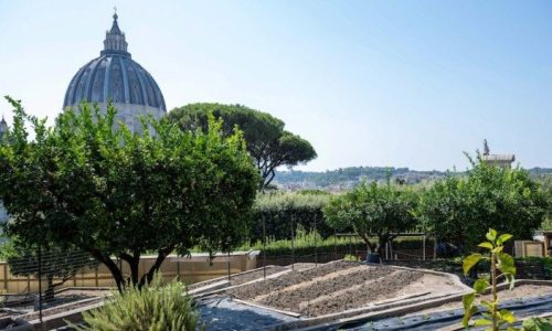 Một góc vườn của đan viện Mater Ecclesiae tại Vatican.