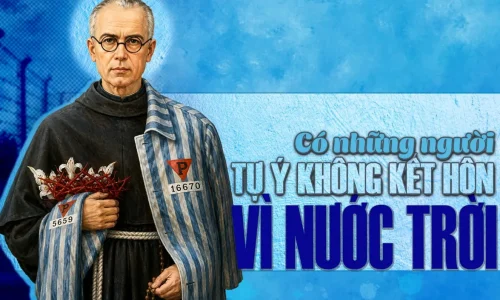 Thanh Maximiliano Maria Kolbe