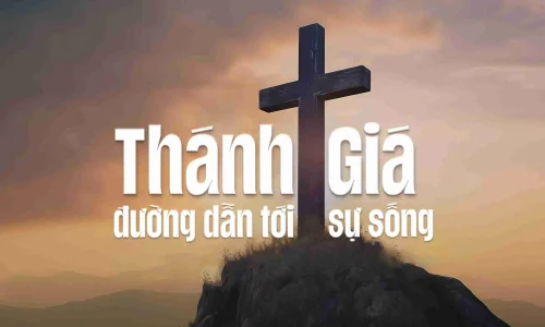 Suy ton thanh gia