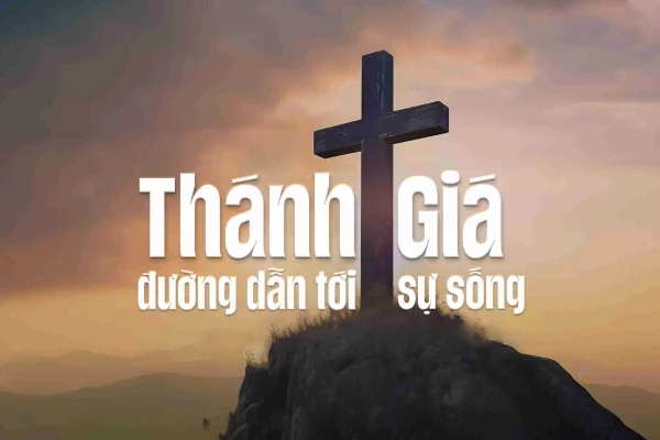 Suy ton thanh gia