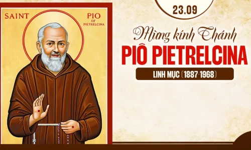 Thanh Pio Petrelcina