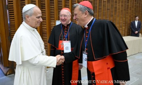 Đức Hồng y Mario Grech, Tổng Thư ký Thượng Hội đồng, chào Đức Thánh Cha Lêô XIV (VATICAN MEDIA)