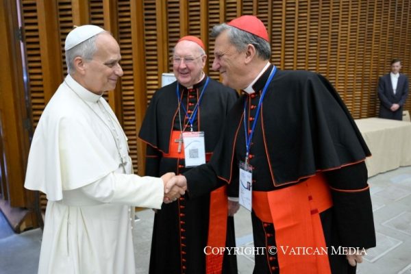 Đức Hồng y Mario Grech, Tổng Thư ký Thượng Hội đồng, chào Đức Thánh Cha Lêô XIV (VATICAN MEDIA)