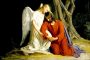 your-Guardian-Angel